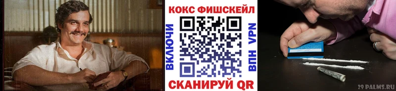мега вход  хочу   Клин  Cocaine Fish Scale 