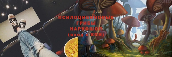 соль ск Белая Холуница