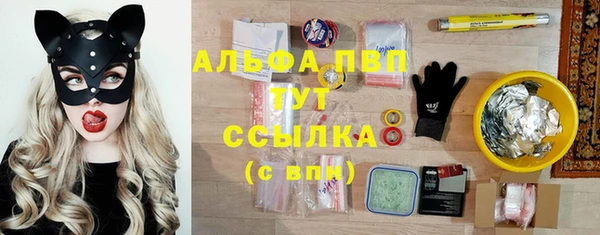 соль ск Белая Холуница
