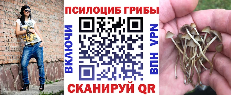 купить наркотики сайты  Клин  Галлюциногенные грибы Psilocybe 