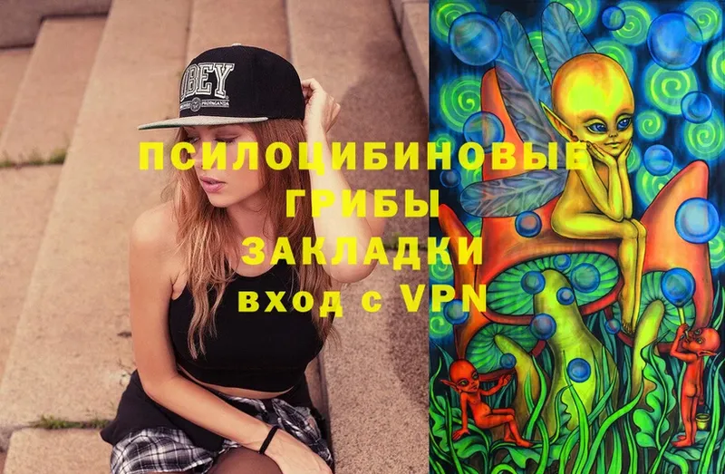 Галлюциногенные грибы Magic Shrooms  Клин 