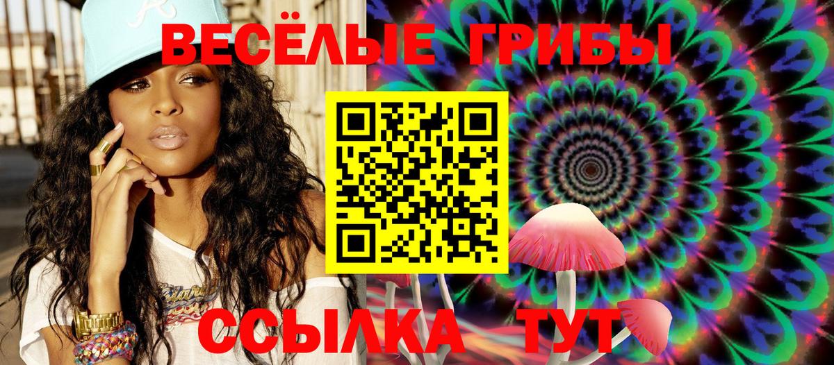 Псилоцибиновые грибы Psilocybe Клин